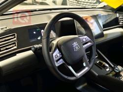 بي واي دي كوين L DM-i